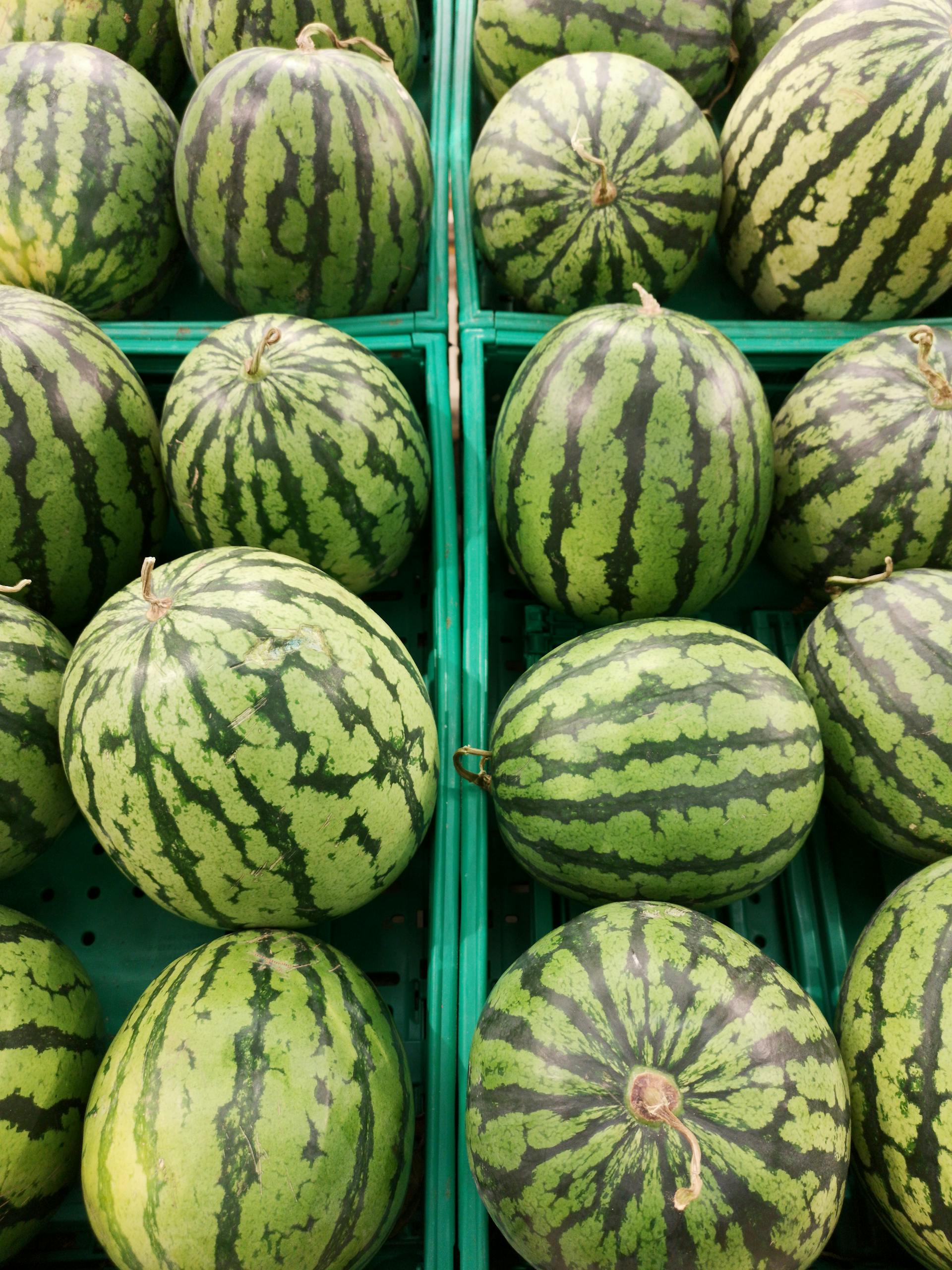 A vibrant display of fresh watermelons in green baskets, showcasing their striped rind and juicy appeal.